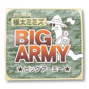 ビッグアーミー