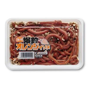 オレンジイソメトクヨウ