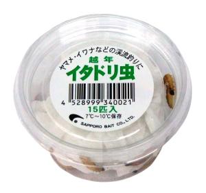 イタドリムシ　オツネン