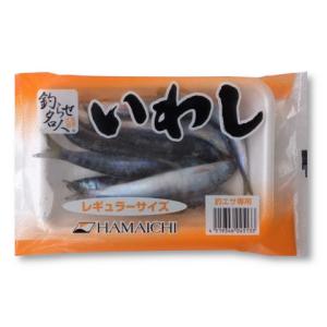 イワシ　レギュラー