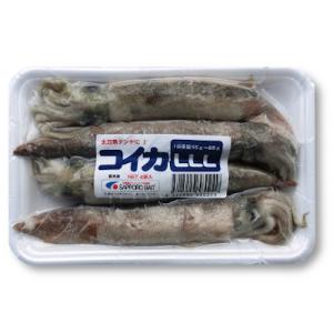 コイカスリーエル