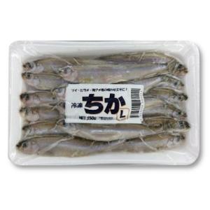 レイトウチカエル